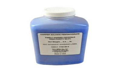 Bullhorn Model RM4016 Remote Monitor by American Innovations